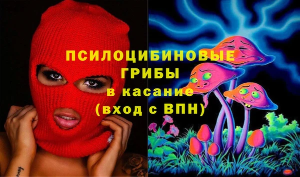 стаф Вязники